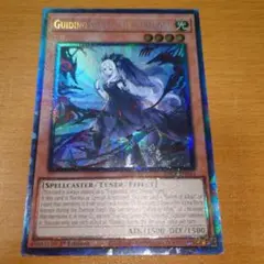 綾鷹　スタンピードまとめ売りで値下げ様 リクエスト 2点 まとめ商品