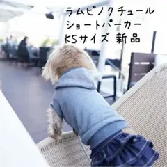 新品 ラムピノクチュール ショートパーカー KS ダックス 犬服