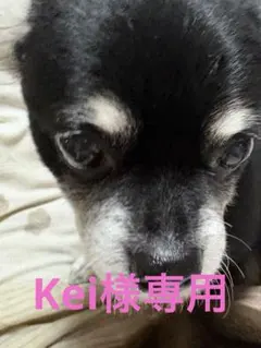 Kei様 リクエスト 2点 まとめ商品