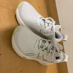 GEL-Nimbus 26メンズ26cm