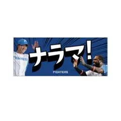 日本ハムファイターズ タオル