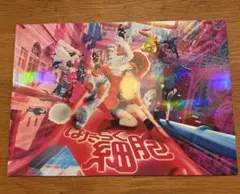 MAKI様 リクエスト 2点 まとめ商品