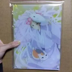 夏目友人帳 クリアファイル 下じき まとめ売り クリアファイル（全1種）【夏目友人帳 アニメ公式オンラインストア】