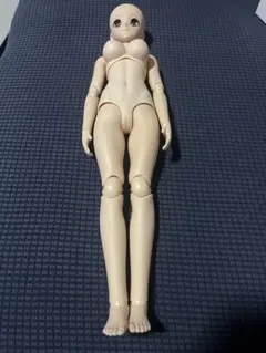 AKIHO ミステリアス(シンプルセット) OBITSU BODY 50 GGR