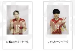 バレーボール男子日本代表2024 関田誠大 プリントチェキ トレカ レア