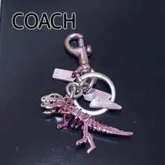 2026年最新】coach チャーム 恐竜の人気アイテム - メルカリ