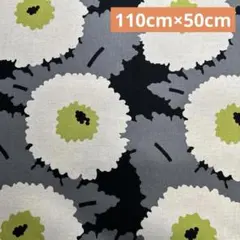 Item thumbnail for item 32307ee3-89d3-46a4-bb77-458bab01bbf7