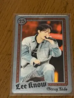 StrayKids リノ エコパスタジアム 事後販売 ライブフォトカード