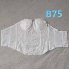 《美品》ブライダル　インナー　ビスチェ　B75