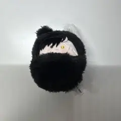 WINDBREAKER ウィンドブレイカー 桜遥 くるみたぴぬい