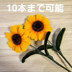 モールフラワー ガーデニング