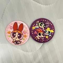 ぽろ様専用 パワーパフガールズ 刺繍缶バッチ　2点 ブロッサム
