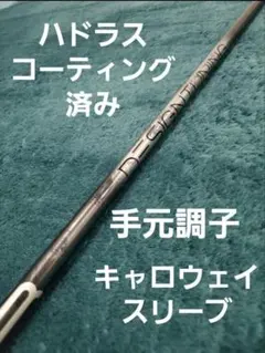 Item thumbnail for item bfa3664a-ccae-432c-be1f-728e5d3b5ea3