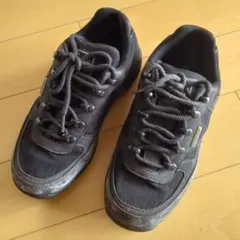 Item thumbnail for item fd15d204-58b5-45b4-b3ff-70e8c17ccb12