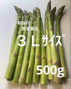 朝採れ　農家直送　アスパラ　アスパラガス　500gのサムネイル