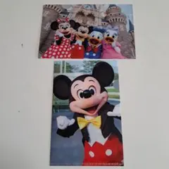 東京ディズニーリゾート クリアファイル 2枚セット 実写 旧フェイス