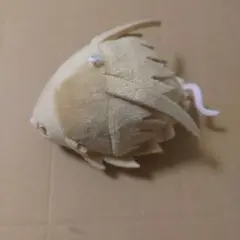 Item thumbnail for item 7092749c-ce3c-410c-b640-bec487755367