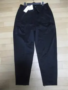 Item thumbnail for item db24918d-9eab-4de7-a86c-5e9125f3ed0f