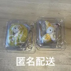 【匿名配送】 シルバニアファミリー　フルーツパーティー　セット