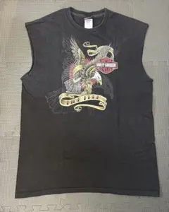 Item thumbnail for item c01ab115-86c4-4f17-a959-aa137296dd99