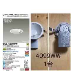 Item thumbnail for item f64dd9ab-4bc0-4f42-9872-5b5fd956b4d8