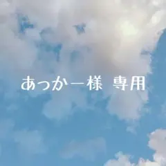 あっかー様 専用