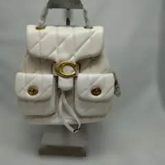 新品未使用】COACH リュック ショルダーバッグ 2way 水色 - メルカリ