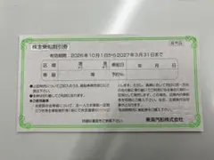 東海汽船　株主優待券（1枚のみ） 【2027年3月31日まで】