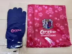 セレッソ大阪ヤンマーレディースマフラー&手袋