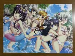 魔法少女リリカルなのは vivid クリアファイル