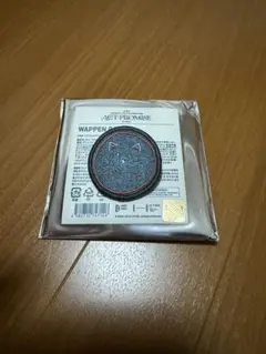 TXT ACT:PROMISE ワッペンバッジ　テヒョン