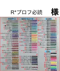Rプロフ必読 ⚠️〜14迄発送不可❌　様　専用