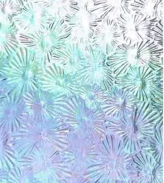 pupu ＊プロフ必読様 リクエスト 5点 まとめ商品