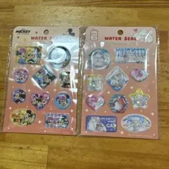 Disney ウォーターシール ミッキー ベイマックスセット
