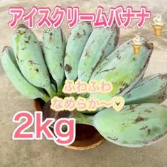 良品 沖縄県産 アイスクリームバナナ 約2kg｜ふわふわ食感 希少国産のサムネイル