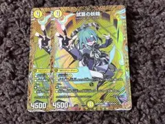 キャピタルフェアリー　試算の妖精 シク　シークレット　2枚