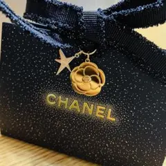 CHANEL ギフト包装　チャーム付き　ショップ袋とCLARINSポーチ