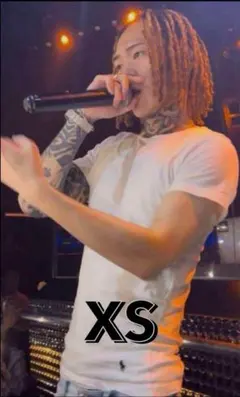 ポロスリムフィットtシャツ　白xsサイズ