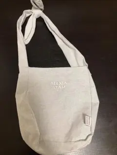 アリシアスタン　バック