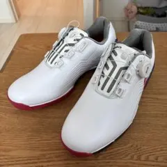 2025年最新】SHG100の人気アイテム - メルカリ