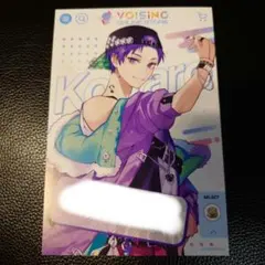 ボイシングオンラインストア 購入特典 ポストカード すたぽら こったろ
