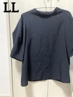 Item thumbnail for item 1c74f467-f926-491b-bfb9-bfe52a41cd43