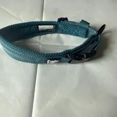 Truelove 犬用首輪 Mサイズ 青のサムネイル