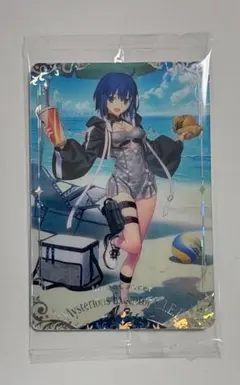 Fate Grand Order ウエハース14 謎の代行者 C.I.E.L