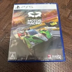 project motor racing