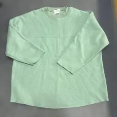 チャオパニックトレーナー