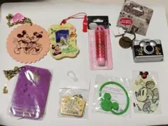 ディズニー ランド キャラクターグッズ セット