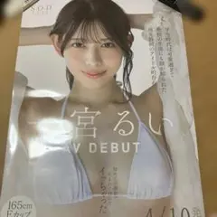 一宮るい 大型ポスター A1 非売品