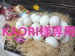 KAORI様専用 合鴨卵40個 6000円