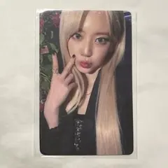 会場限定 トレカ FEARNADA サクラ ルセラフィム lesserafim